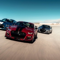 A vadonatúj Shelby GT500 lesz a közutak, a versenypályák eddigi legfejlettebb Mustang modellje